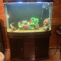 80 Gallon Glass Fish Tank With Curved Corners 