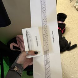 Apple Magic Mouse & Keyboard Brand New