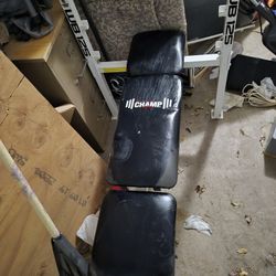 little Work Out Bench Press 