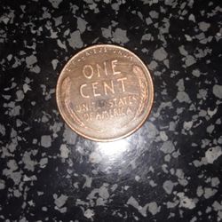 Bigger Than 12/14feet Long Of Uncut BLACK SPECKLED MARBLE