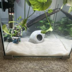 5 Gallon Top Fin Aquarium/ Fish Tank