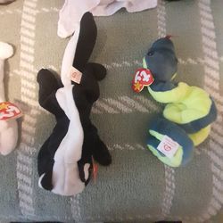 BEANIE BABY COLLECTION