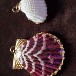 Real Shell Pendants Gold Dipped