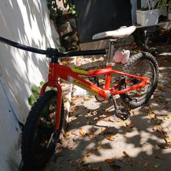 Jr.  CANNONDALE BIKE.