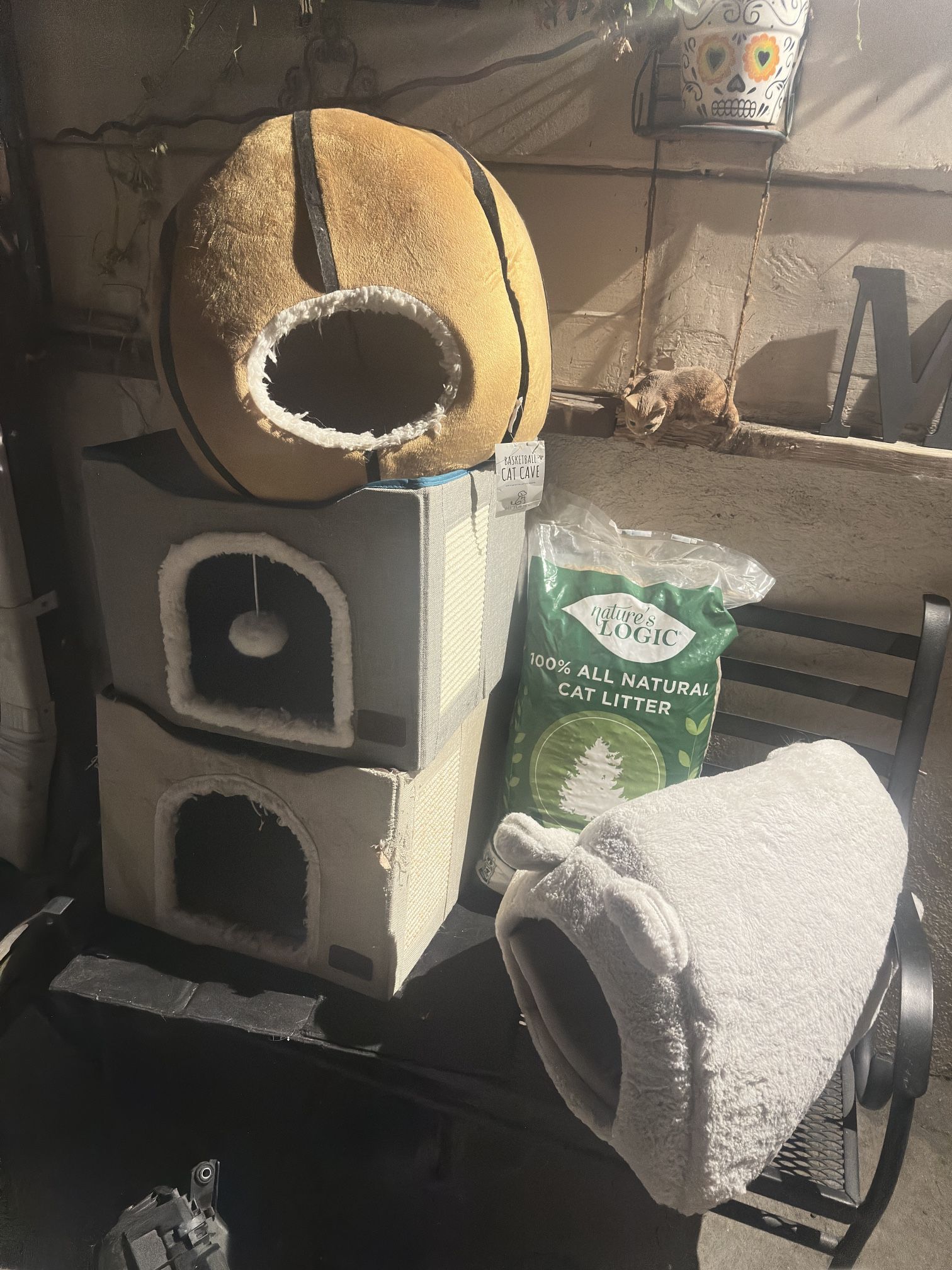 Cat Houses And Litter