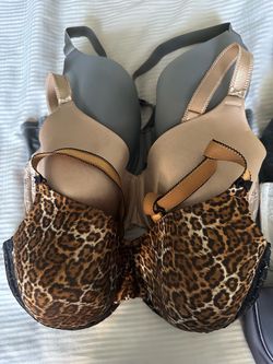 Bra's 40DD