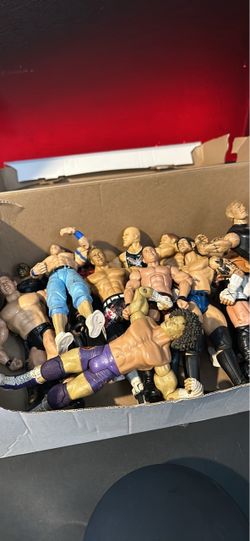WWE Figures