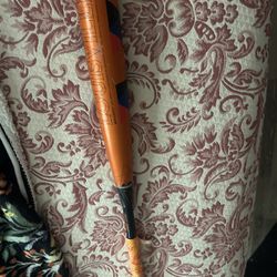 2022 Louisville Meta