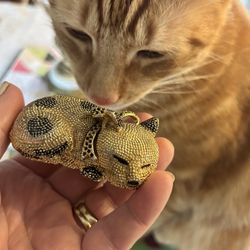 Adorable Cat Trinket Box 