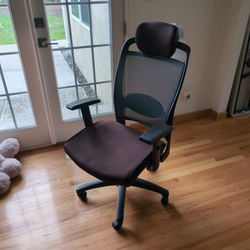Ergonomic Office Chair