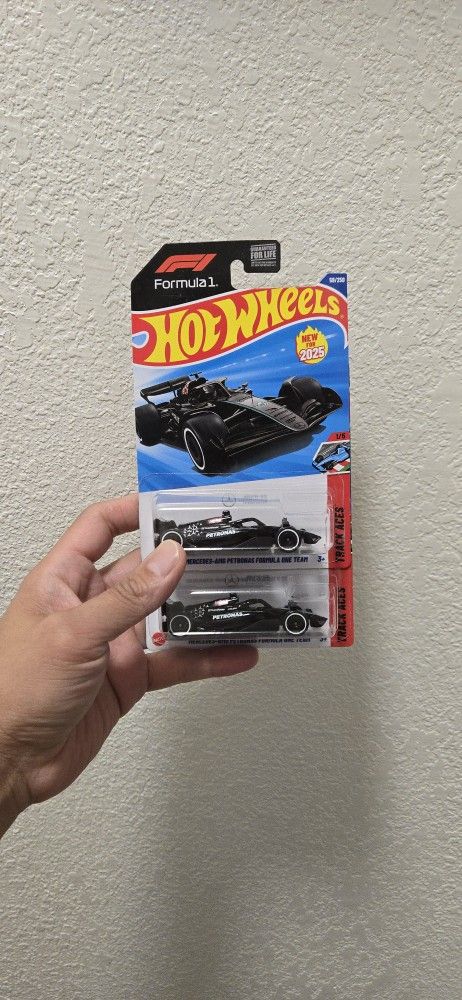 Hotwheels Mercedez AMG Petronas Formula One Team