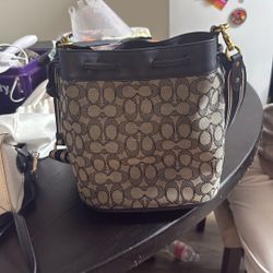 coach bucket purse