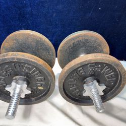 Pair Of 20 Lb Dumbbells 