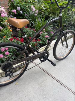 1 Men’s Brown Townie Bike (Map 1st)
