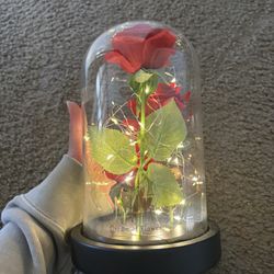Roses And Fairy Lights Vase