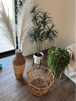 *Plants/Home Decor*