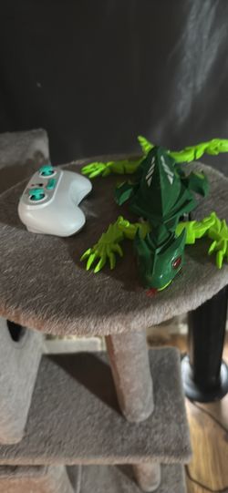 Climbing lizards