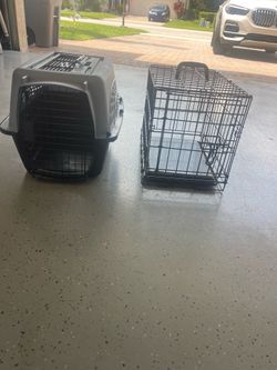 Dog stuff - Must sell!  Lots of Essential Small / Medium Dog Supplies &  Gear! NOT A DEALER