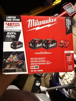 Milwaukee 6.0 2 pack with charger