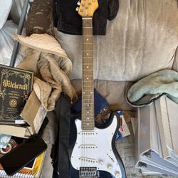 Electric Zeny Guitar