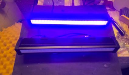 Mounted black lights