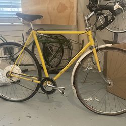 1971 Schwinn Sports Tourer/ Peddle Assist
