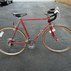 Vintage 10 Speed