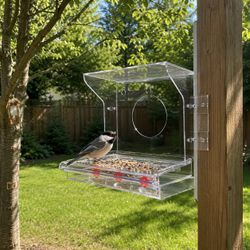 Acrylic Bird Feeder With Suction Cups. Plexi Glass