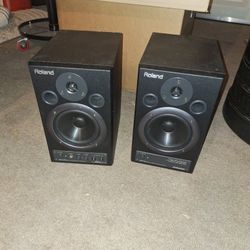 Roland DM-20 Studio Monitors
