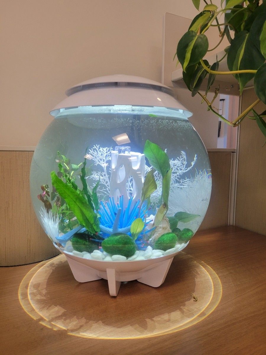 Biorb Halo Fish Tank Set - 8 Gallon