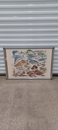 Framed Fish Species Identification Print