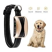 Bark Collar