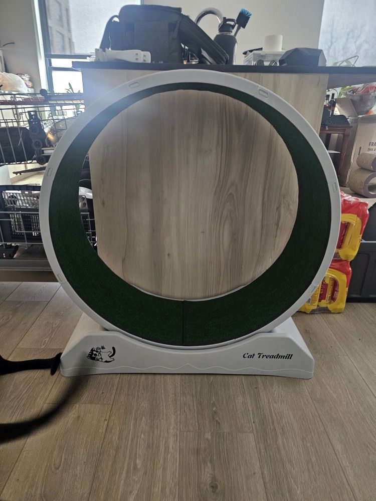 Cat Wheel