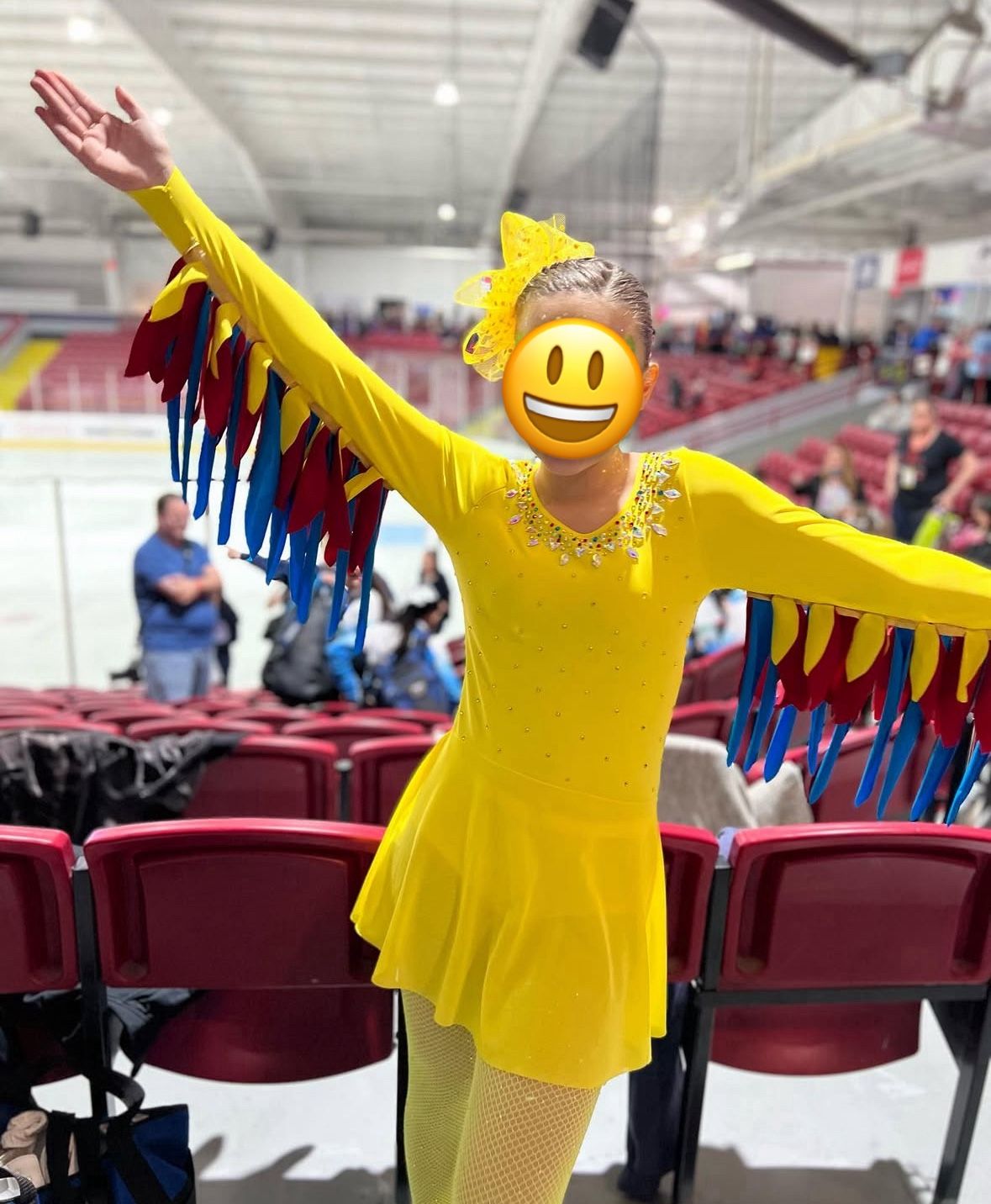 Bird Theme Dance/Skating Dress