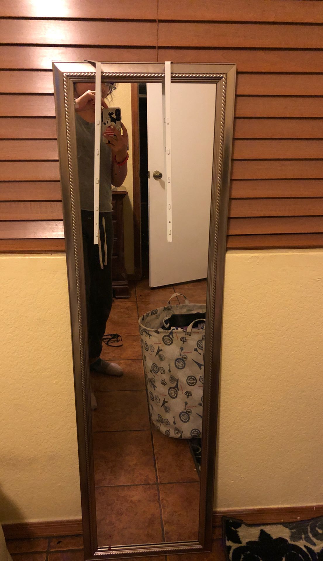 Hanging door mirror