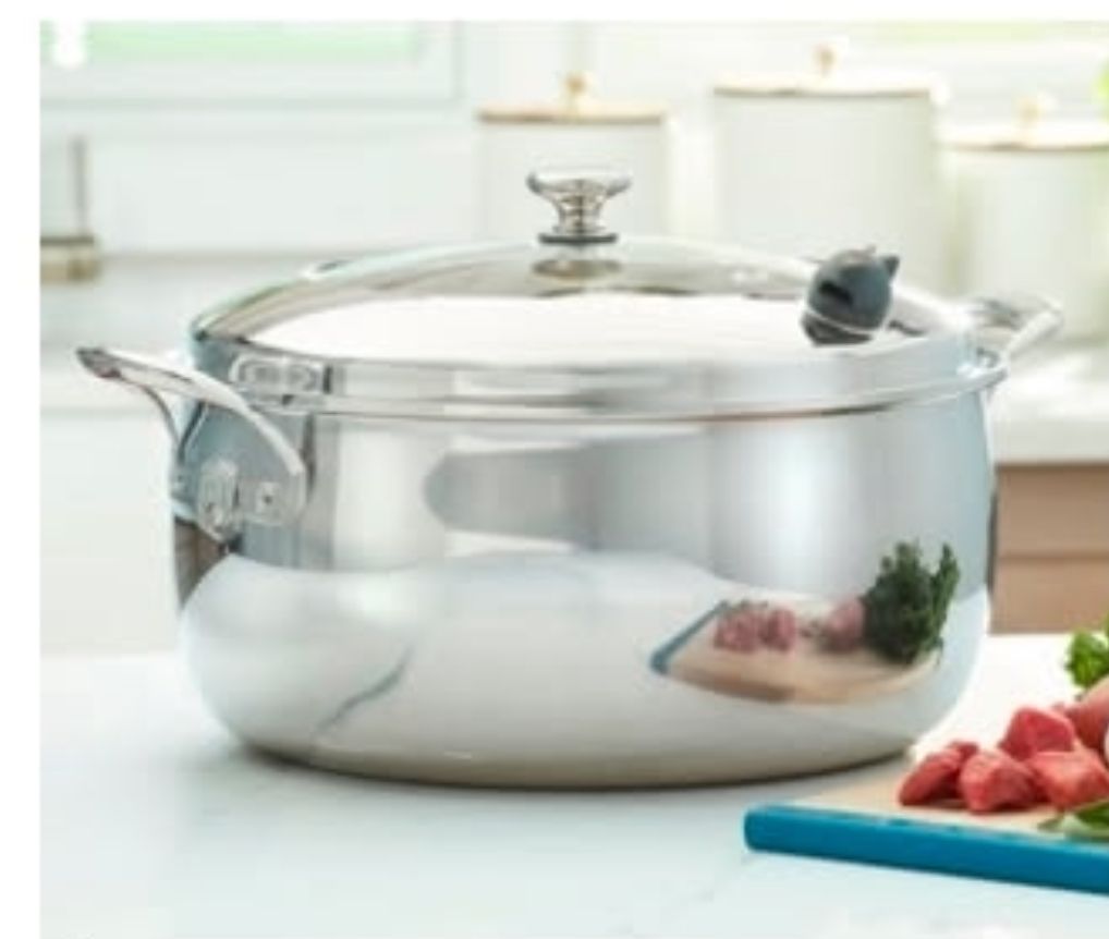 Vida sana 18 qt y 6 qt Princess house