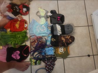 Dog Apparel/accessories 