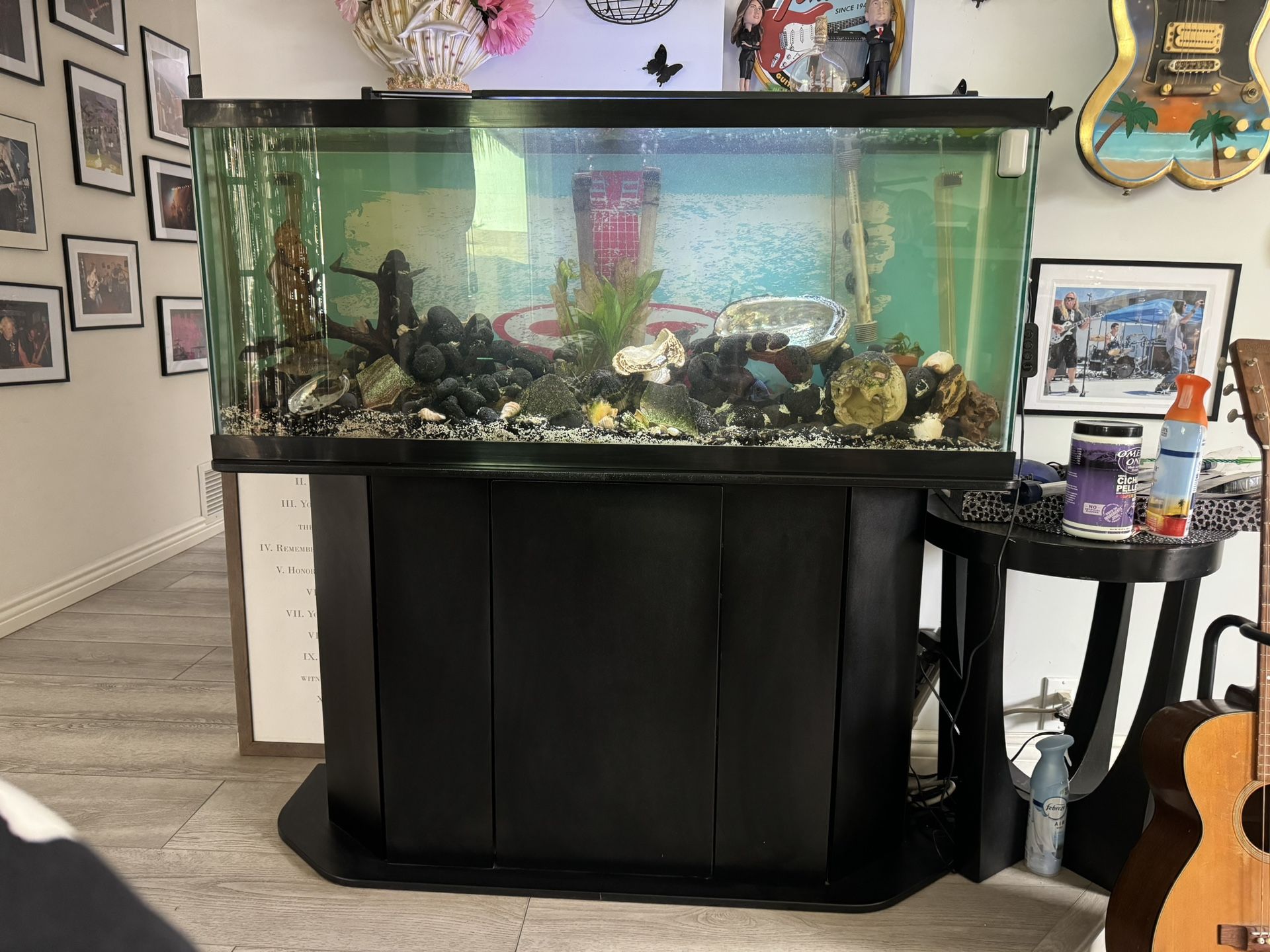 70 Gallon Tank With Stand
