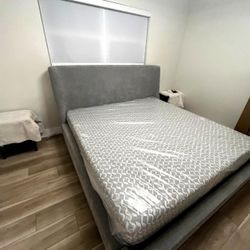 Grey Wingback Platform Bed 🛏️ 🩶🛏️ Cama De Plataforma En Gris 🩶