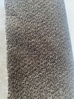 Dark Brown Carpet