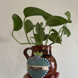 Planta saludablemuy linda en jarrito de Barro Artesanal