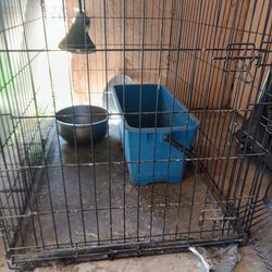 Casita para perritos