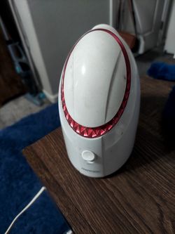 Mini Facial Steamer