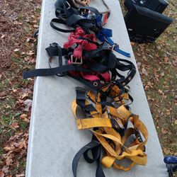 Safety Harness 