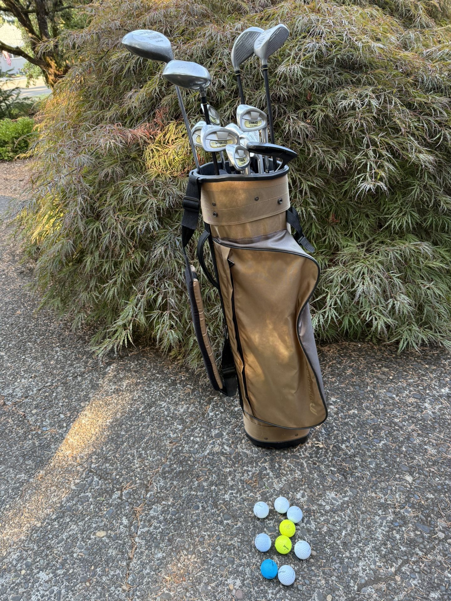 Golf Clubs (RH)