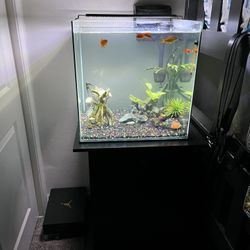 45 Gallon Fish Tank