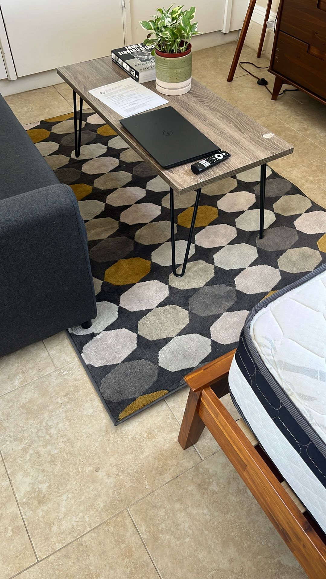 Area Rug
