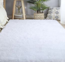 5x7 Area Rug