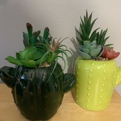 3$ Each Beatiful Plants
