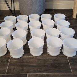 Self Watering Pots For Your Plants
